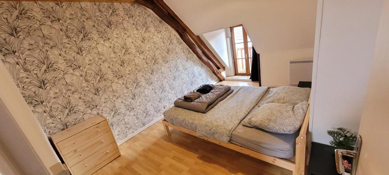Agreable Gite Proche Du Zoo De Beauval Et Des Chateaux3 Selles-sur-Cher Exterior foto